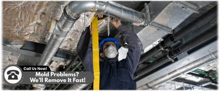 Air Duct Mold Removal in Alexandria